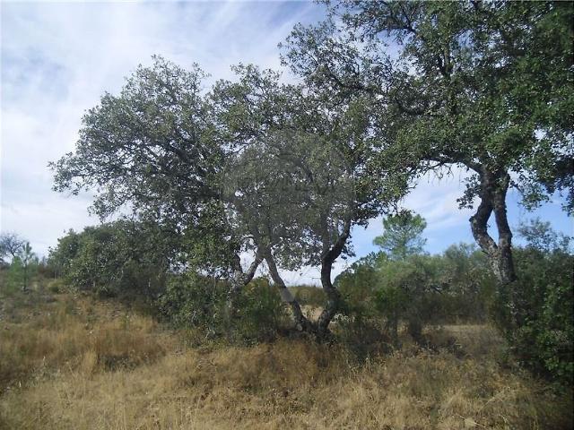 Quinta venda em Benquerenças, Castelo Branco
