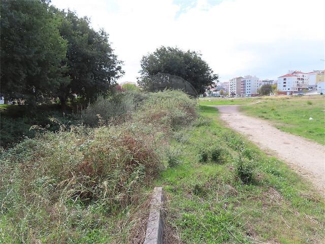 Quinta venda em Salgueiro do Campo, Castelo Branco