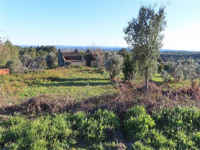 Quinta venda em Salgueiro do Campo, Castelo Branco