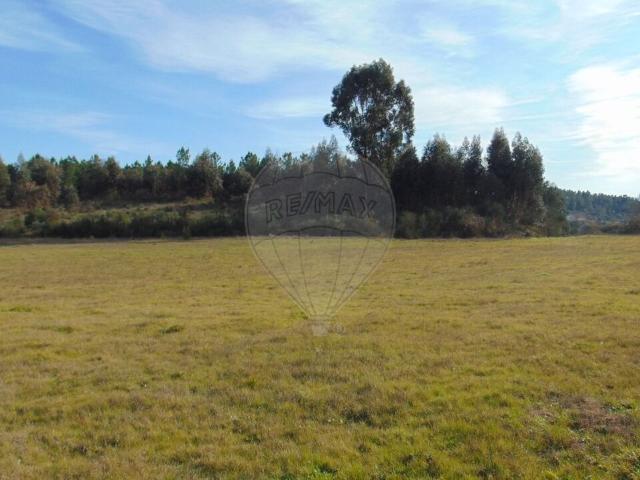 Quinta venda em Guarda, Celorico Da Beira