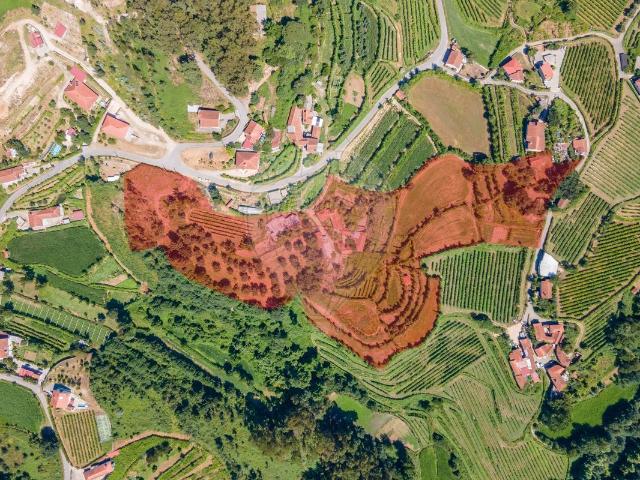 Quinta venda em Celorico De Basto, Braga
