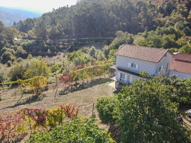 Quinta venda em Cinfães, Viseu