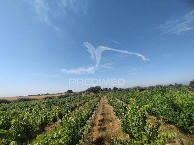 Quinta venda em Nisa, Portalegre