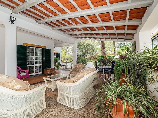 Quinta venda em Palminhas, Coruche