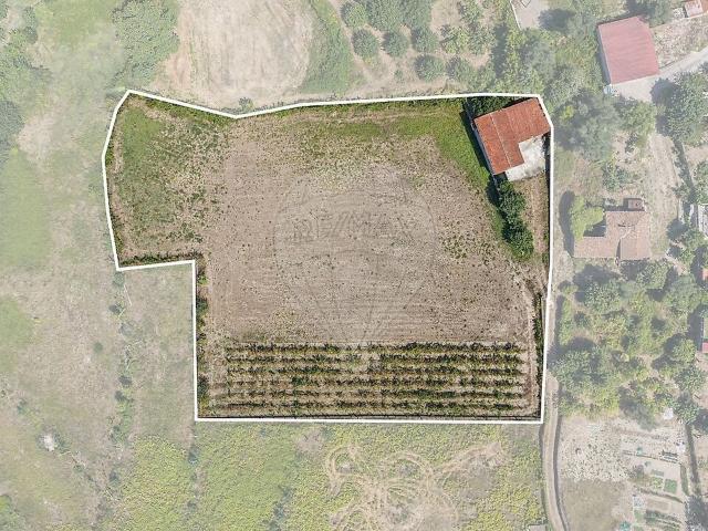 Quinta venda em Coucieiro, Vila Verde