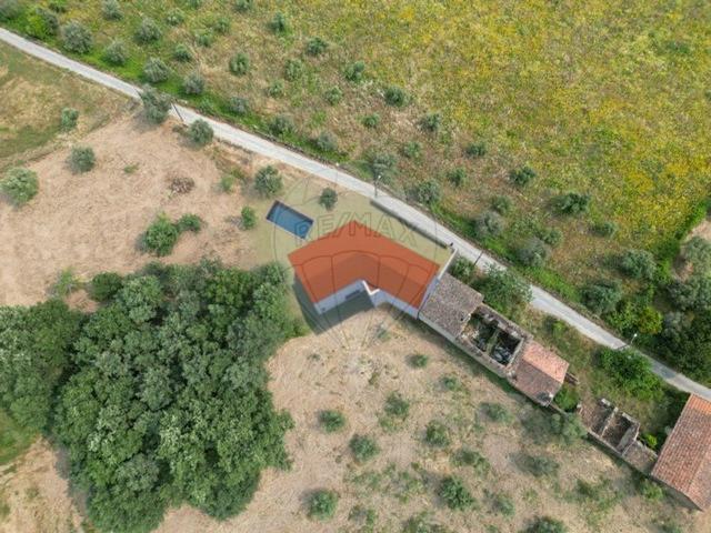 Quinta venda em Castelo Branco, Monte Serrano