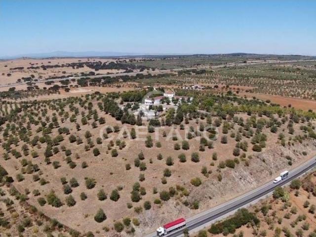 Quinta venda em Elvas, Portalegre