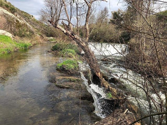 Quinta venda em Fiais da Beira, Ervedal