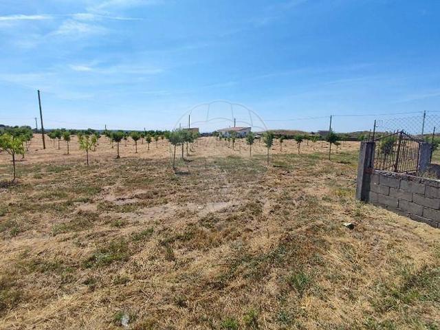 Quinta venda em Escalhão, Figueira de Castelo Rodrigo