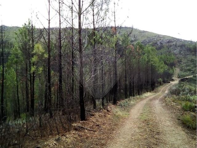 Quinta venda em Vale, Oleiros