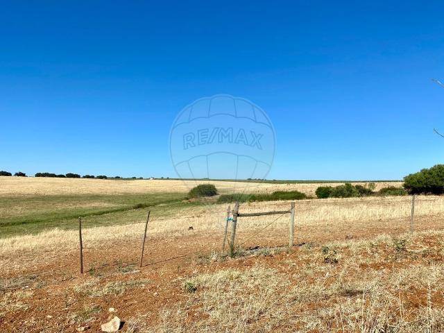 Quinta venda em Évora