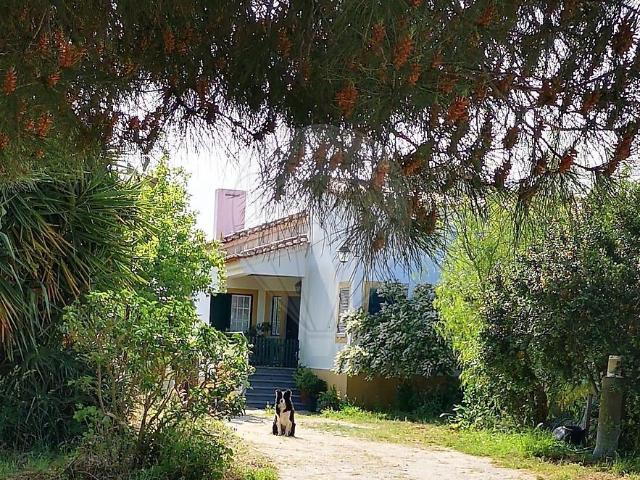 Quinta venda em Évora