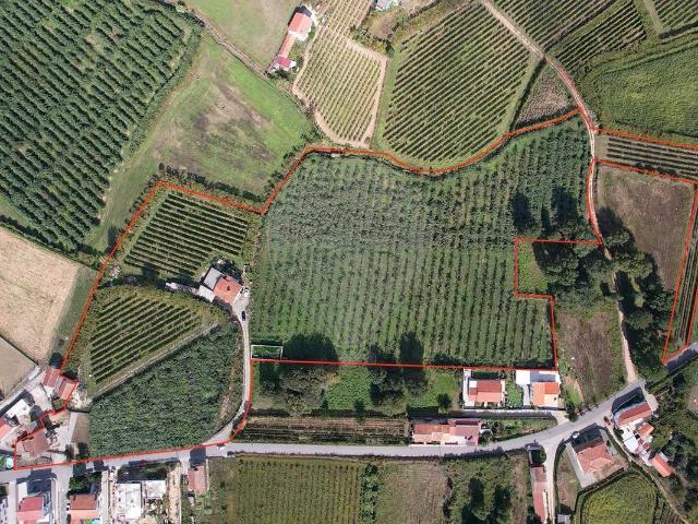 Quinta venda em Felgueiras, Porto