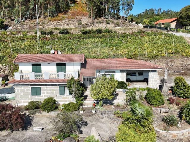 Quinta venda em Felgueiras, Sendim