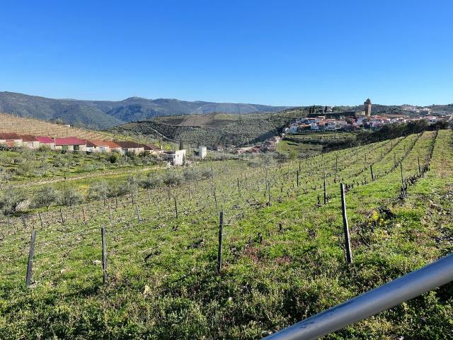 Quinta venda em Freixo Espada À Cinta, Bragança