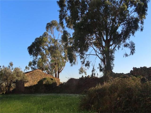 Casa venda em Castelo Branco, Aldeia Nova Do Cabo
