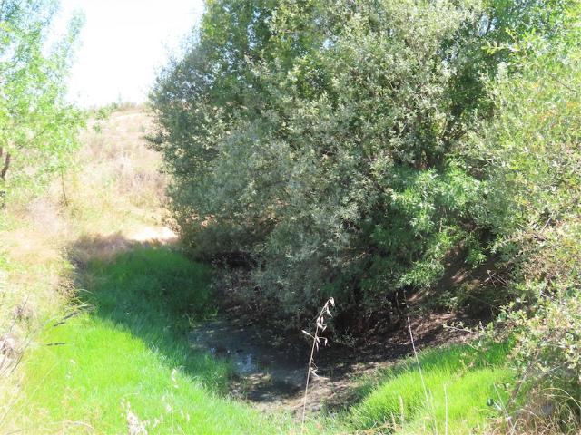 Quinta venda em Castelo Branco, Aldeia Nova Do Cabo