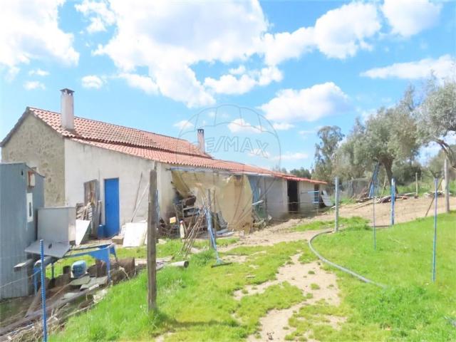Quinta venda em Castelo Branco, Aldeia Nova Do Cabo