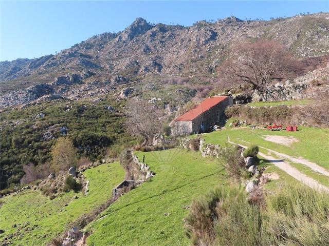 Quinta venda em Castelo Branco, Aldeia Nova Do Cabo