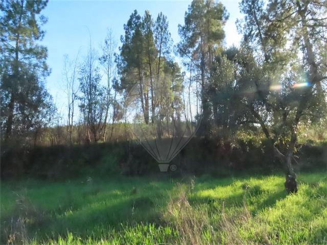 Quinta venda em Castelo Branco, Aldeia Nova Do Cabo