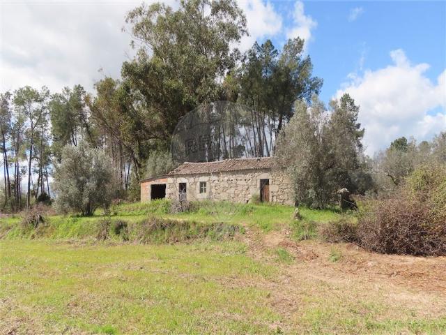 Quinta venda em Castelo Branco, Aldeia Nova Do Cabo
