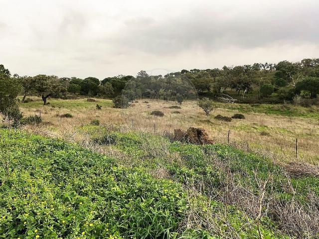 Quinta venda em Grândola, Setúbal