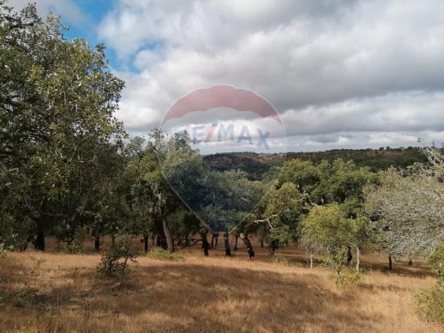 Quinta venda em Grândola, Setúbal