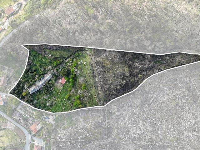 Quinta venda em Guimarães, Braga