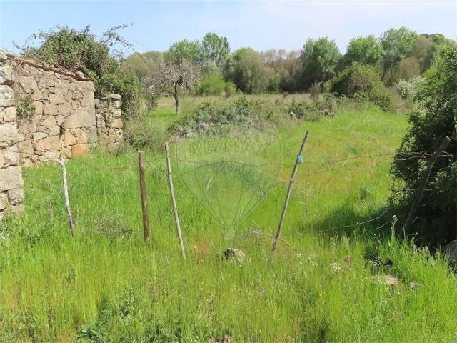 Quinta venda em Castelo Branco, Idanha-a-nova