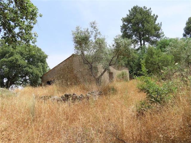 Quinta venda em Castelo Branco, Idanha-a-nova