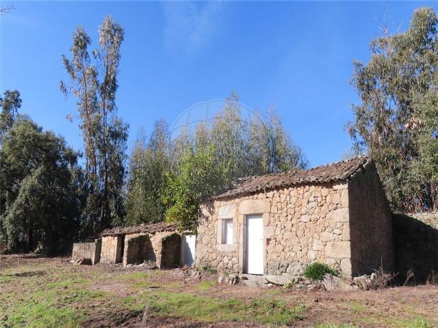 Quinta venda em Castelo Branco, Idanha-a-nova