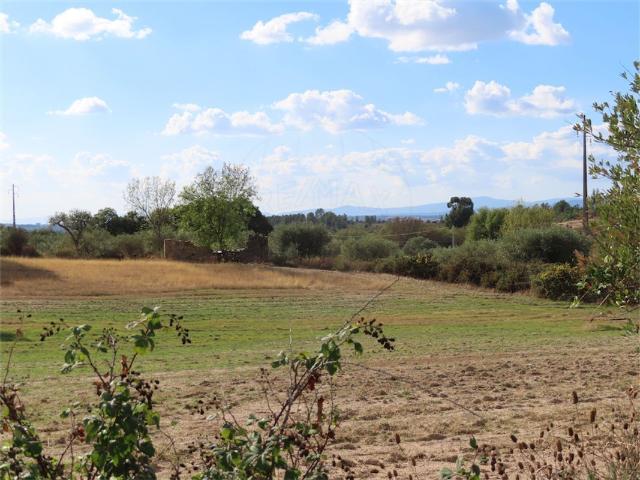 Quinta venda em Castelo Branco, Idanha-a-nova