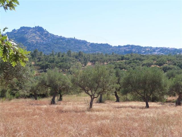 Quinta venda em Castelo Branco, Idanha-a-nova