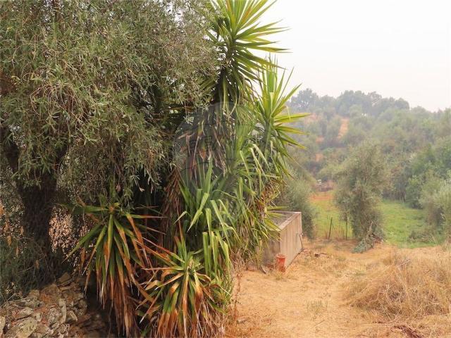 Quinta venda em Castelo Branco, Idanha-a-nova