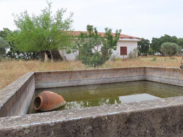 Quinta venda em Castelo Branco, Idanha-a-nova