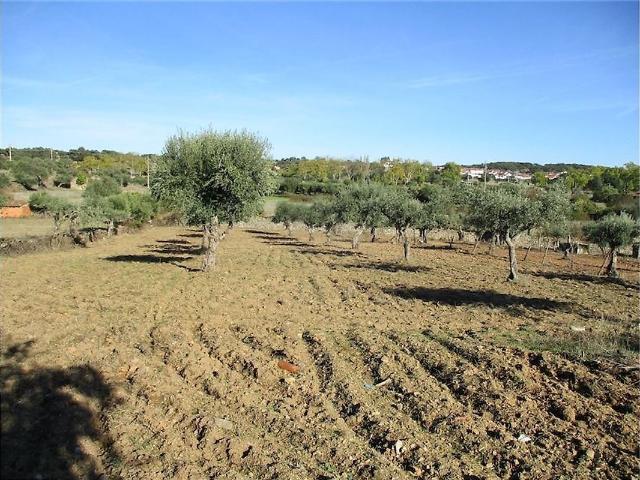 Quinta venda em Idanha-a-Nova e Alcafozes, Idanha-a-Nova