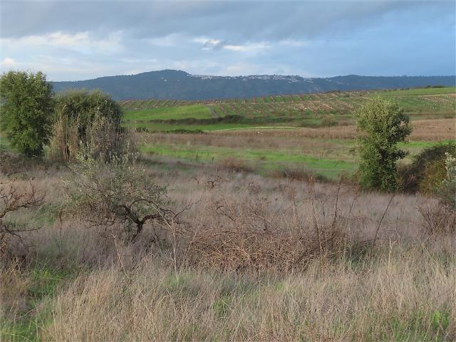 Quinta venda em Idanha-a-Nova e Alcafozes, Idanha-a-Nova