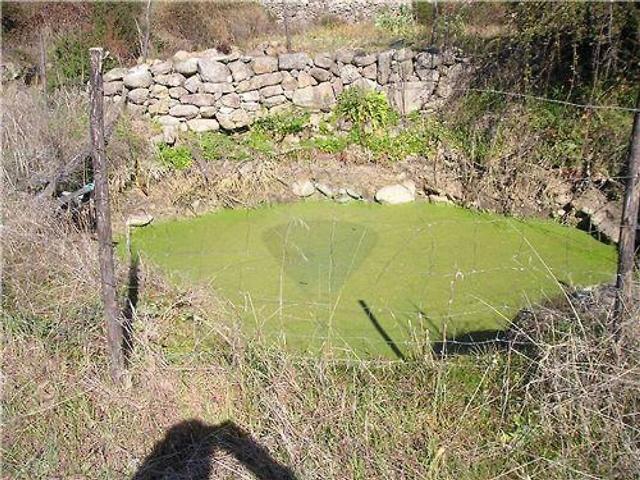 Quinta venda em Idanha-a-Nova e Alcafozes, Idanha-a-Nova