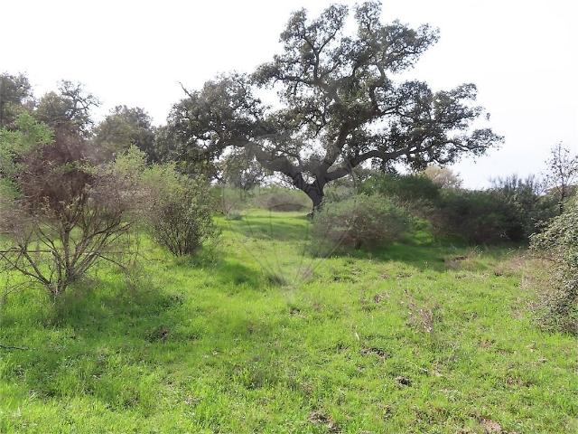 Quinta venda em Idanha-a-Nova e Alcafozes, Idanha-a-Nova
