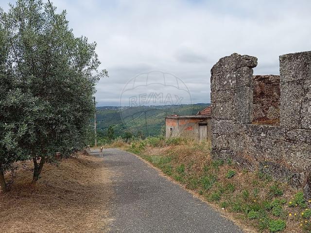 Quinta venda em Canas de Santa Maria, Tondela