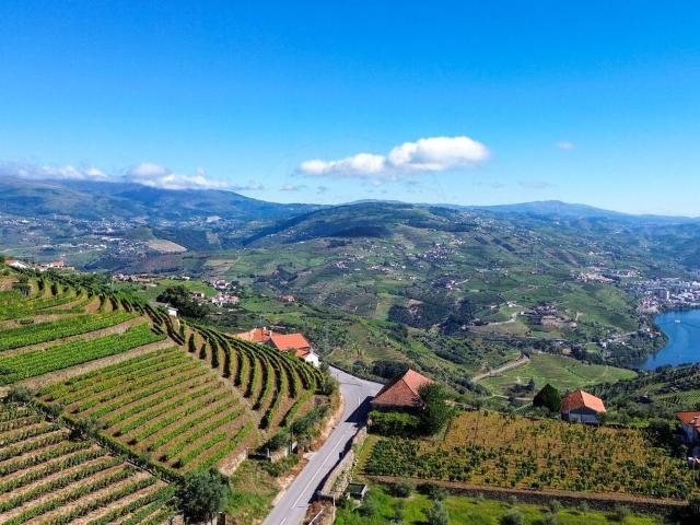 Quinta venda em Lamego, Viseu