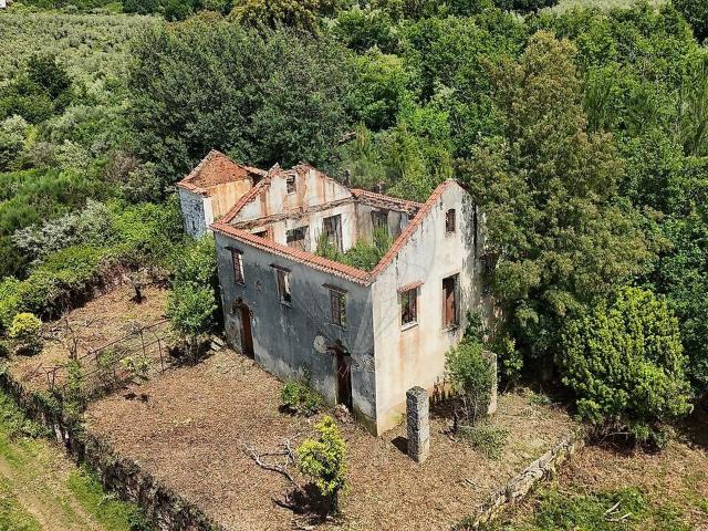 Quinta venda em Cabeçadas, Lourosa