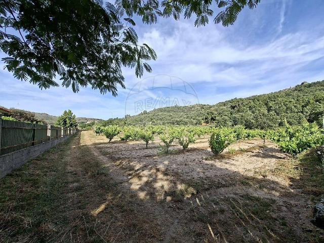 Quinta venda em Maçainhas, Belmonte