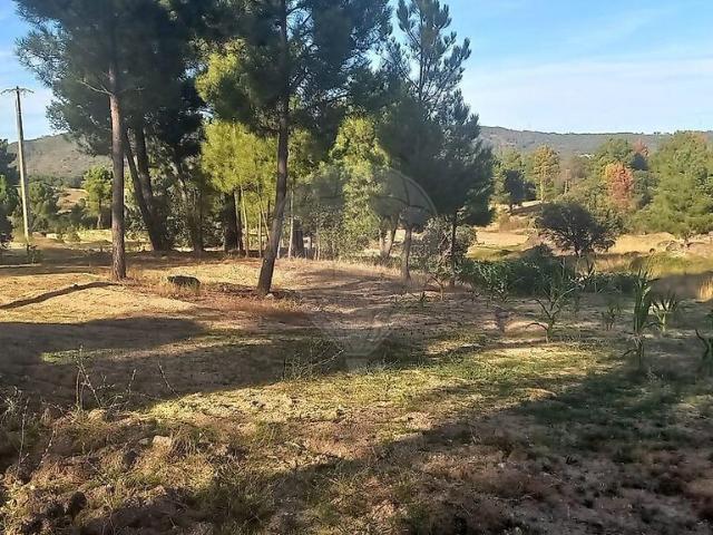 Quinta venda em Maçal do Chão, Celorico da Beira