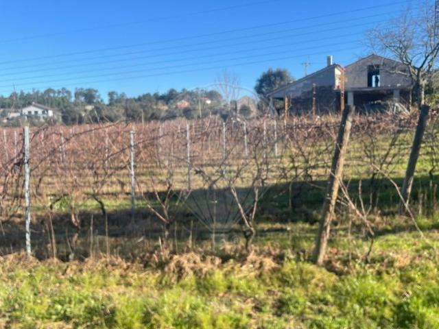 Quinta venda em Moimenta de Maceira Dão e Lobelhe do Mato, Mourilhe