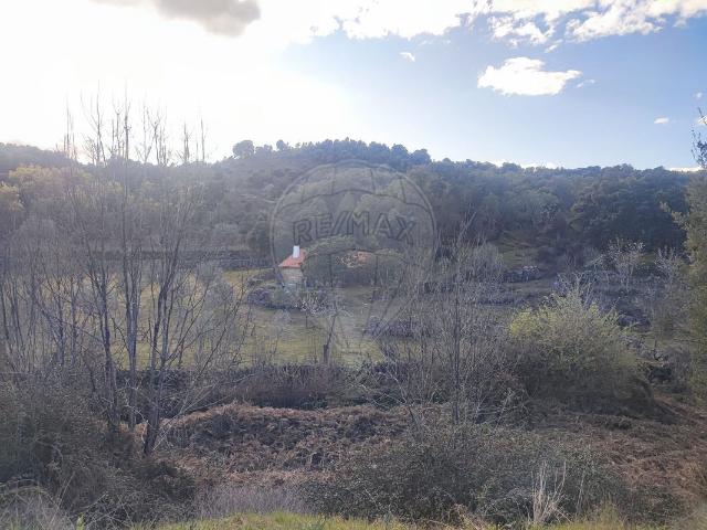 Quinta venda em Guarda, Meda