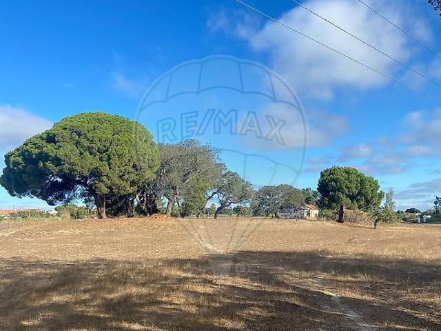 Quinta venda em Moita, Setúbal