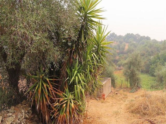 Quinta venda em Monfortinho e Salvaterra do Extremo, Idanha-a-Nova