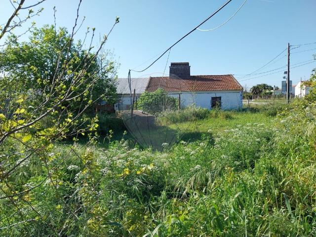 Quinta venda em Montemor-o-novo, Évora