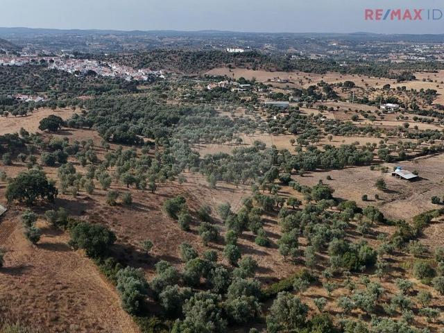 Quinta venda em Montemor-o-novo, Évora